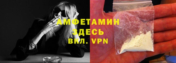 твердый Арсеньев