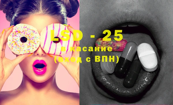 прущие грибы Армянск