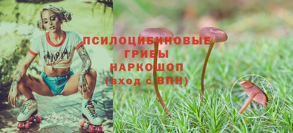 эйфоретик Алексеевка