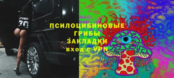 прущие грибы Армянск