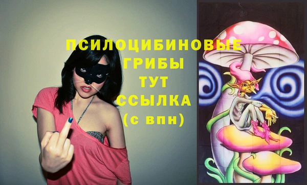 эйфоретик Абаза