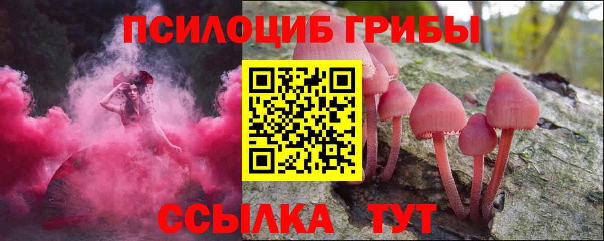 Галлюциногенные грибы мицелий  Вход с VPN  как найти закладки  Новочеркасск 